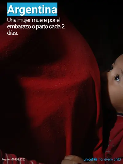 Maternal mortality tile for Argentina, Photo · Spanish