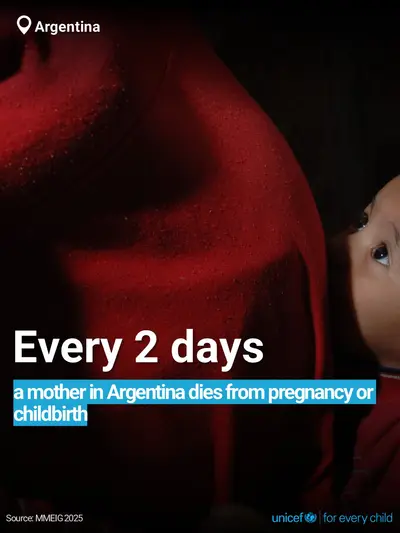 Maternal mortality tile for Argentina, Bold number · English