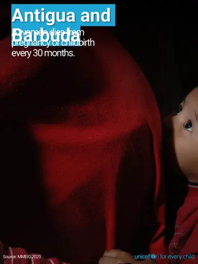 Maternal mortality tile for Antigua and Barbuda, Photo · English