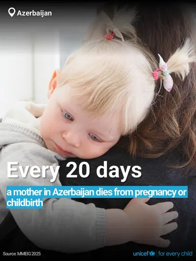 Maternal mortality tile for Azerbaijan, Bold number · English