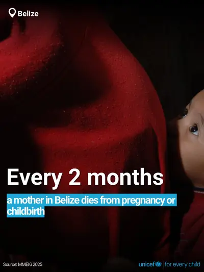 Maternal mortality tile for Belize, Bold number · English