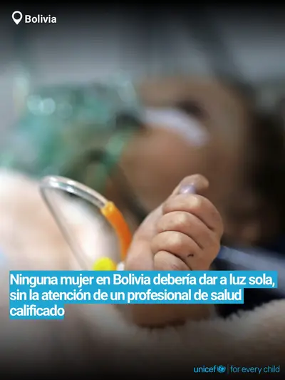 Skilled birth attendance tile for Bolivia (Plurinational State of), Bold number · Spanish