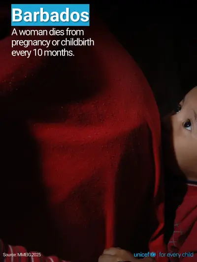 Maternal mortality tile for Barbados, Photo · English