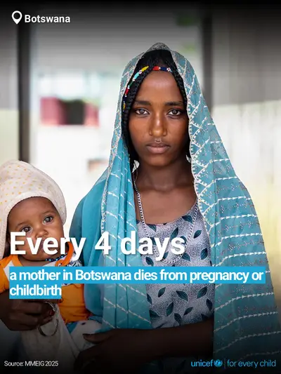 Maternal mortality tile for Botswana, Bold number · English