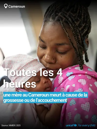 Maternal mortality tile for Cameroon, Bold number · French