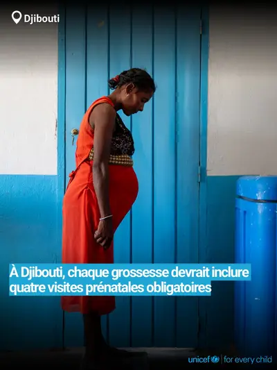 Antenatal care tile for Djibouti, Bold number · French