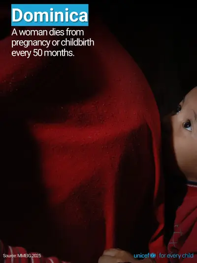 Maternal mortality tile for Dominica, Photo · English