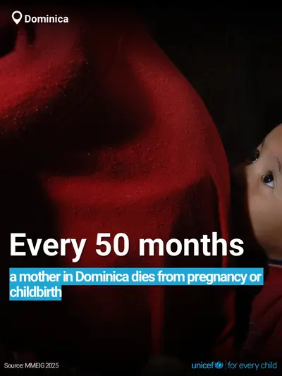 Maternal mortality tile for Dominica, Bold number · English