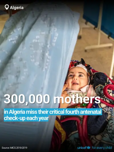 Antenatal care tile for Algeria, Bold number · English