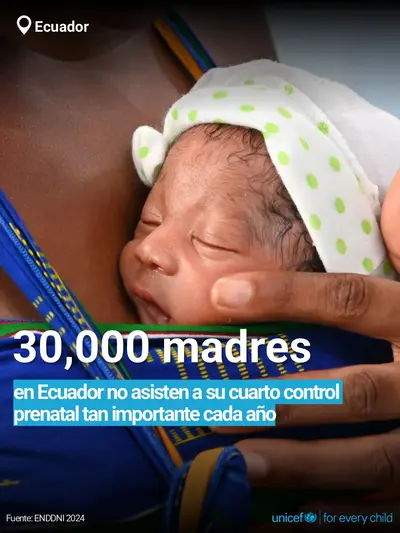 Antenatal care tile for Ecuador, Bold number · Spanish
