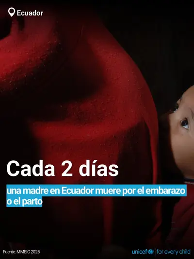 Maternal mortality tile for Ecuador, Bold number · Spanish