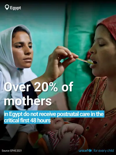 Postnatal care tile for Egypt, Bold number · English