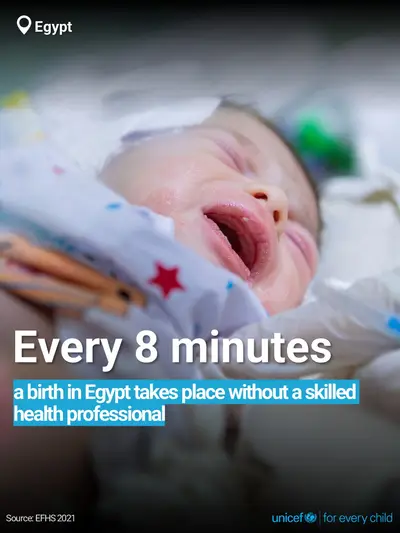 Skilled birth attendance tile for Egypt, Bold number · English