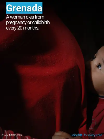 Maternal mortality tile for Grenada, Photo · English