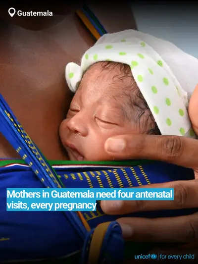 Antenatal care tile for Guatemala, Bold number · English