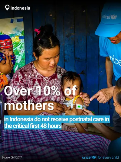 Postnatal care tile for Indonesia, Bold number · English