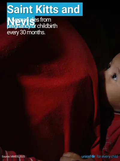 Maternal mortality tile for Saint Kitts and Nevis, Photo · English