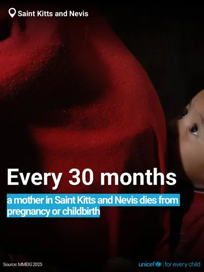 Maternal mortality tile for Saint Kitts and Nevis, Bold number · English