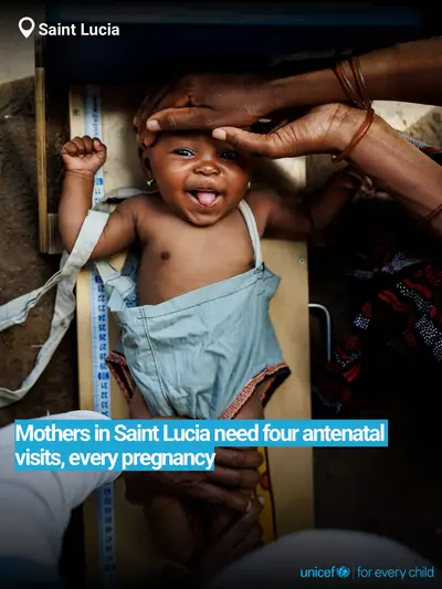 Antenatal care tile for Saint Lucia, Bold number · English