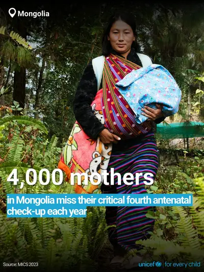 Antenatal care tile for Mongolia, Bold number · English