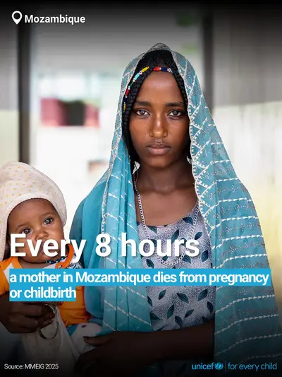 Maternal mortality tile for Mozambique, Bold number · English
