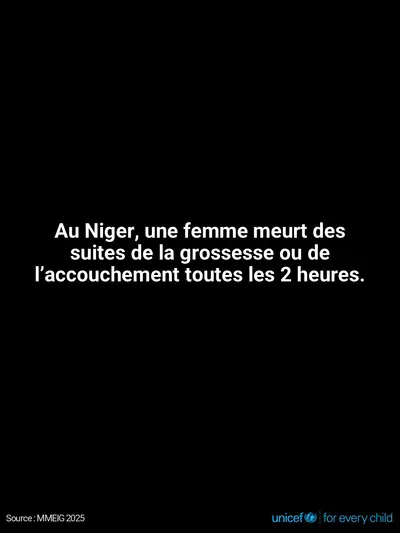 Maternal mortality tile for Niger, Text only · French