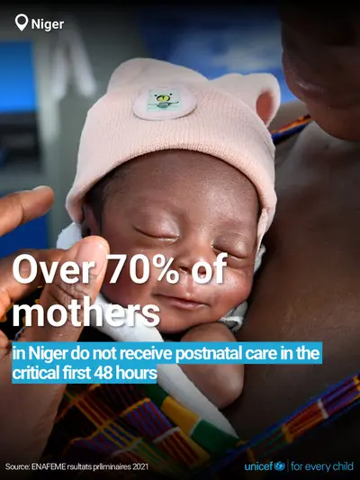 Postnatal care tile for Niger, Bold number · English