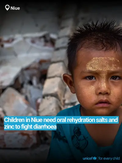Oral rehydration salts tile for Niue, Bold number · English