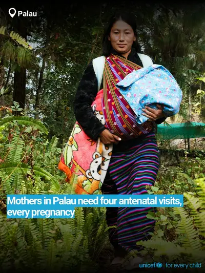 Antenatal care tile for Palau, Bold number · English