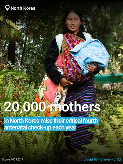 Antenatal care tile for Democratic People's Republic of Korea, Bold number · English