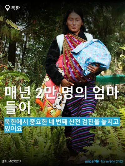 Antenatal care tile for Democratic People's Republic of Korea, Bold number · Korean