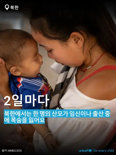 Maternal mortality tile for Democratic People's Republic of Korea, Bold number · Korean