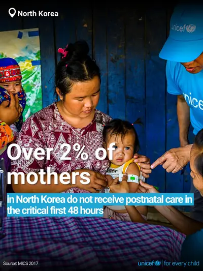 Postnatal care tile for Democratic People's Republic of Korea, Bold number · English