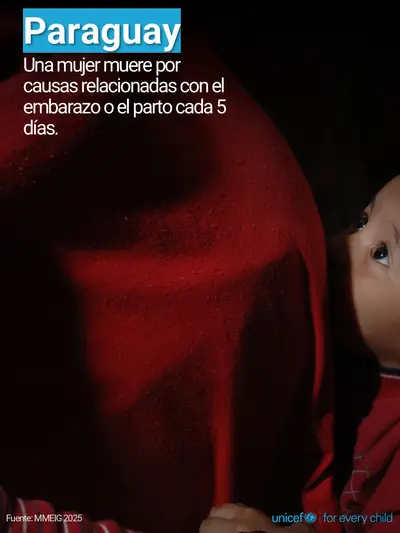 Maternal mortality tile for Paraguay, Photo · Spanish