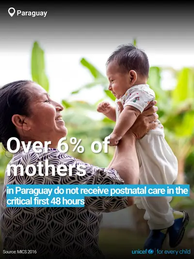 Postnatal care tile for Paraguay, Bold number · English