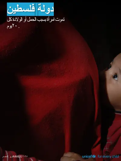 Maternal mortality tile for State of Palestine, Photo · Arabic