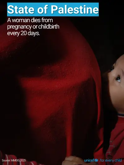 Maternal mortality tile for State of Palestine, Photo · English