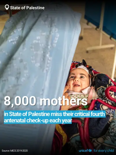 Antenatal care tile for State of Palestine, Bold number · English