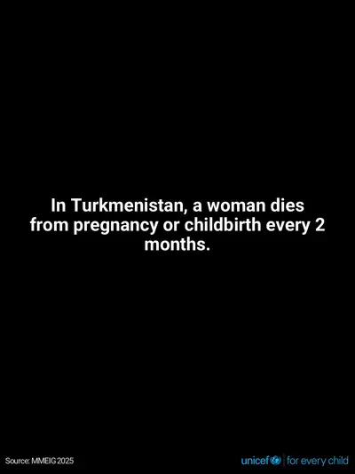 Maternal mortality tile for Turkmenistan, Text only · English