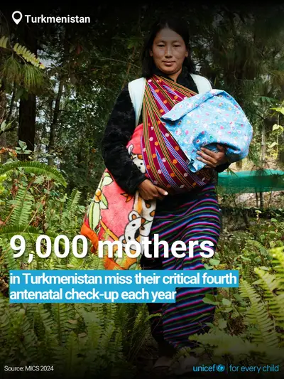 Antenatal care tile for Turkmenistan, Bold number · English