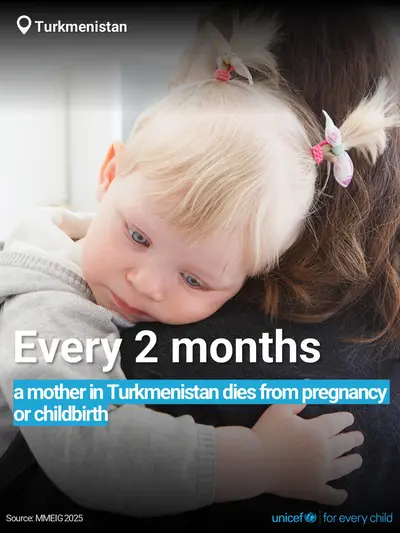 Maternal mortality tile for Turkmenistan, Bold number · English