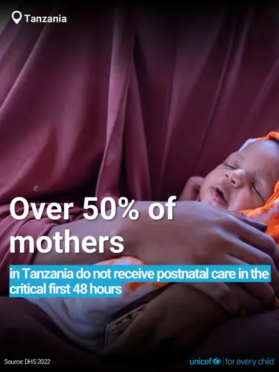 Postnatal care tile for United Republic of Tanzania, Bold number · English