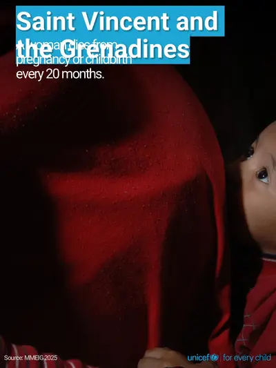 Maternal mortality tile for Saint Vincent and the Grenadines, Photo · English