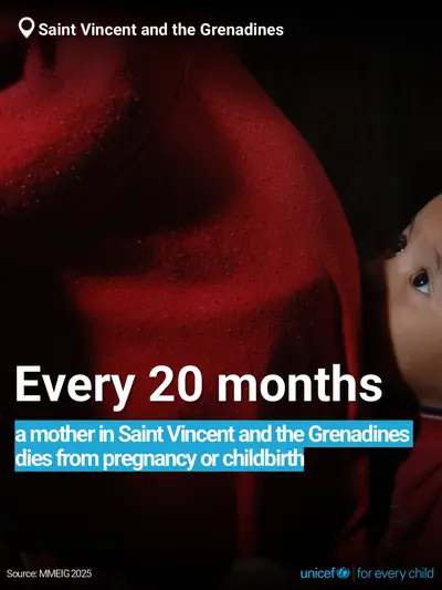 Maternal mortality tile for Saint Vincent and the Grenadines, Bold number · English