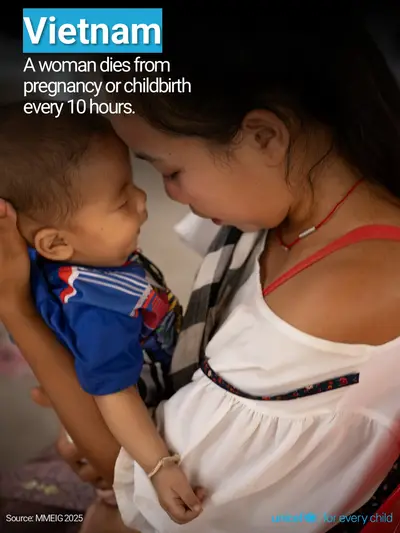 Maternal mortality tile for Viet Nam, Photo · English