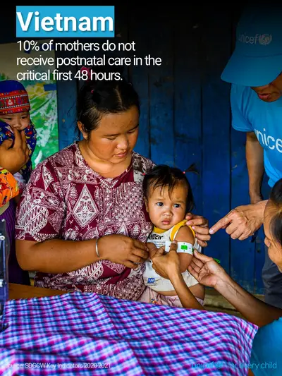 Postnatal care tile for Viet Nam, Photo · English