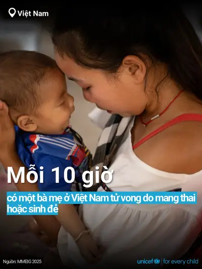 Maternal mortality tile for Viet Nam, Bold number · Vietnamese