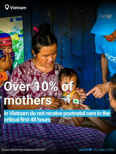 Postnatal care tile for Viet Nam, Bold number · English