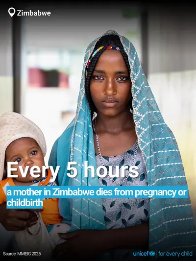 Maternal mortality tile for Zimbabwe, Bold number · English